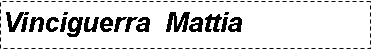 Casella di testo: Vinciguerra  Mattia